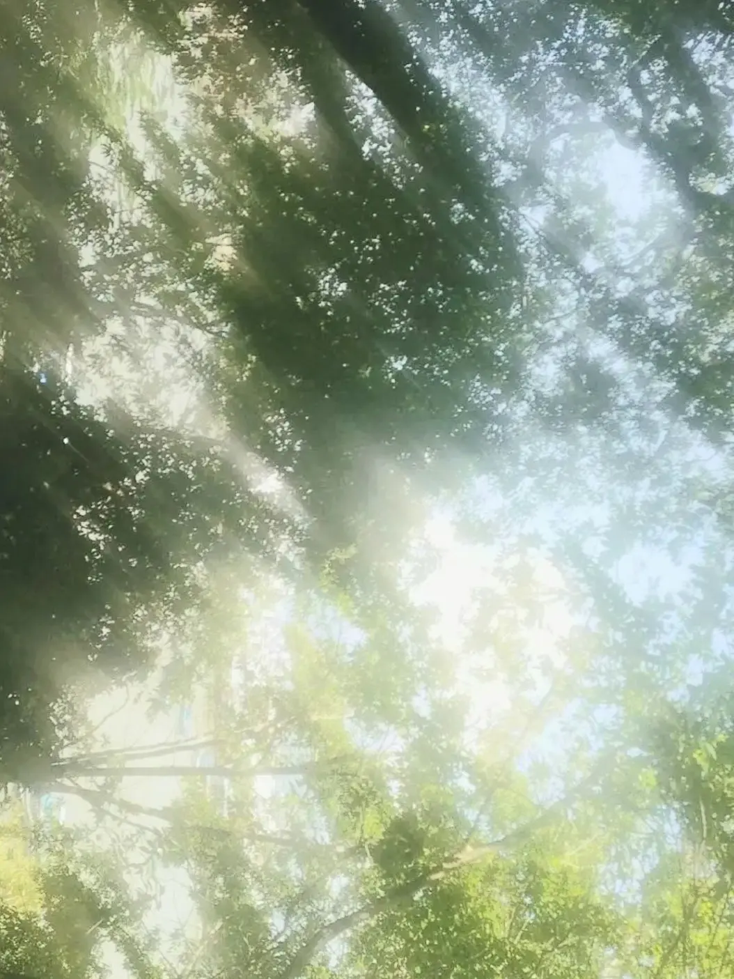 PlaidFile0399의 Starting Today