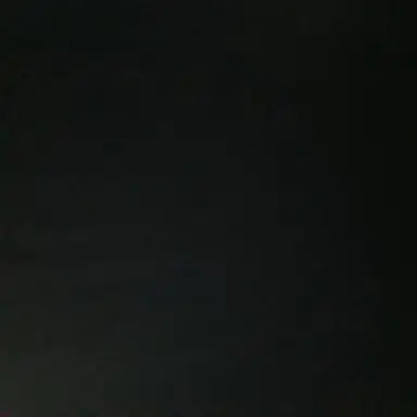 Profile image of 검정이