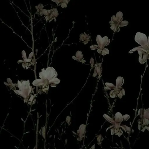 161.6km_1223의 문현빈 / # 비하인드