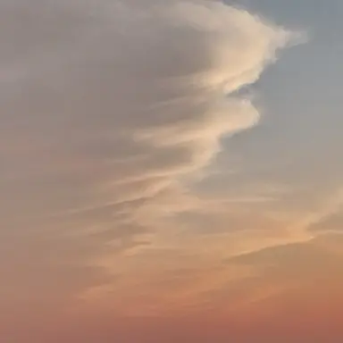 Profile image of 채스터