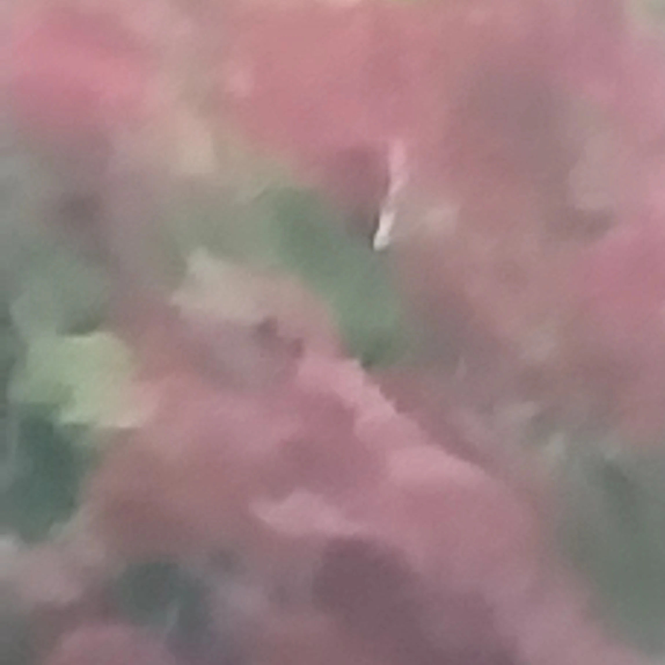 꽥