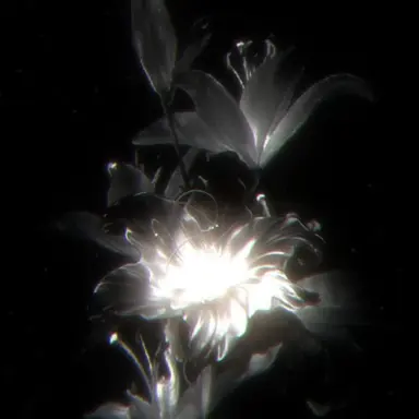 Profile image of 우융