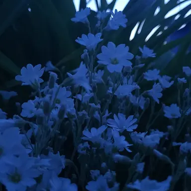 Profile image of 행크