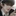 차대호