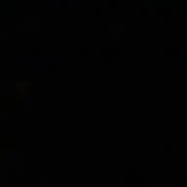 Profile image of 루이