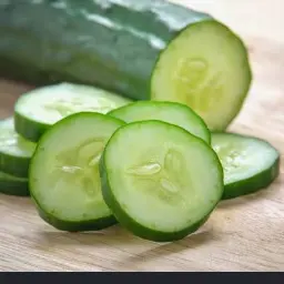 Profile image of Cucumber God