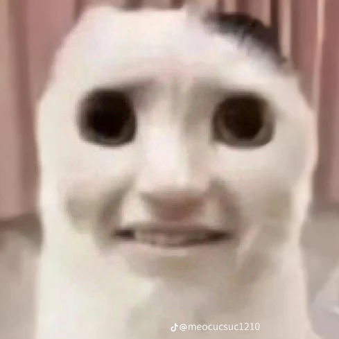 애클