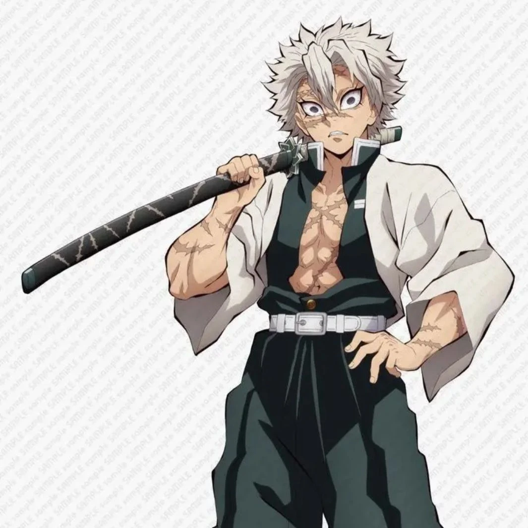 시나즈가와 사네미