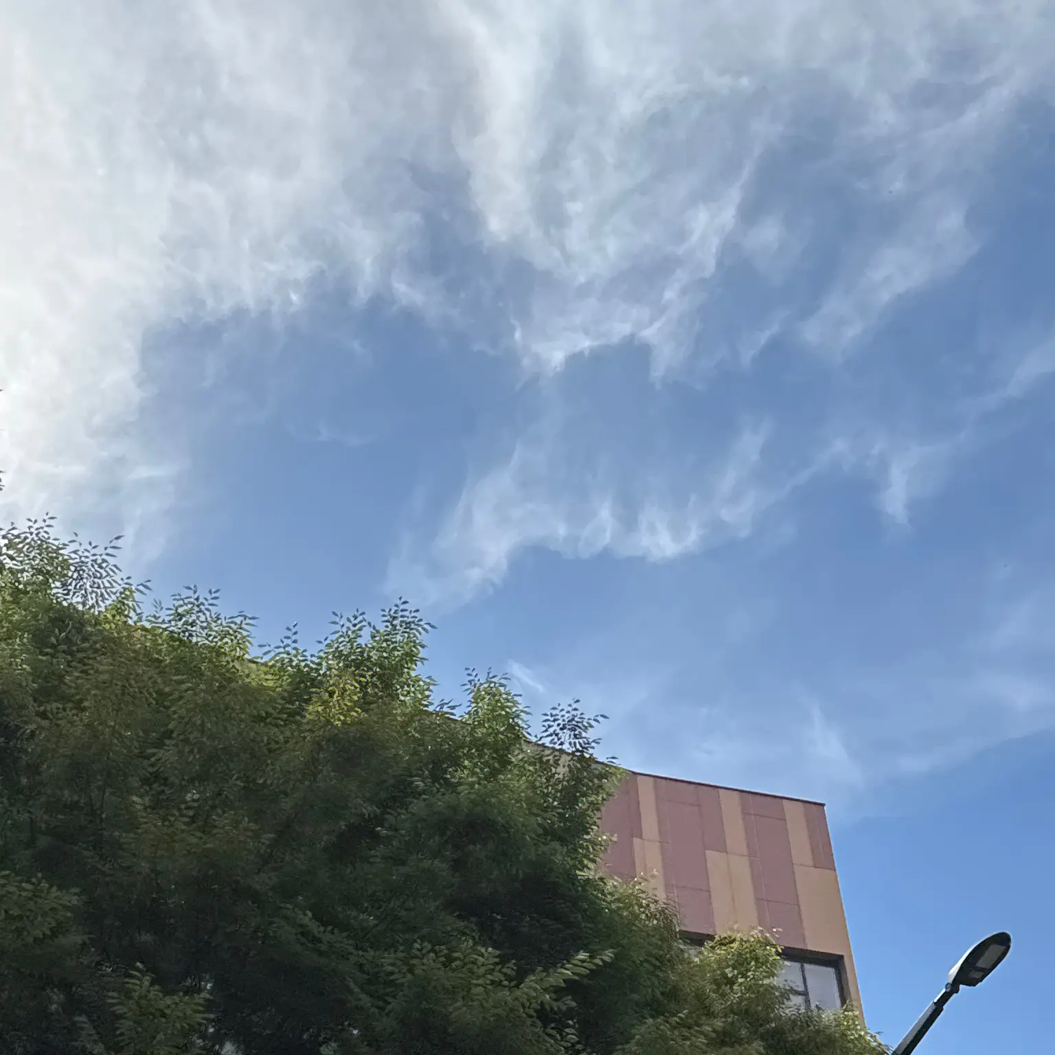 FancyNote2836의 大忙しの産婦人科