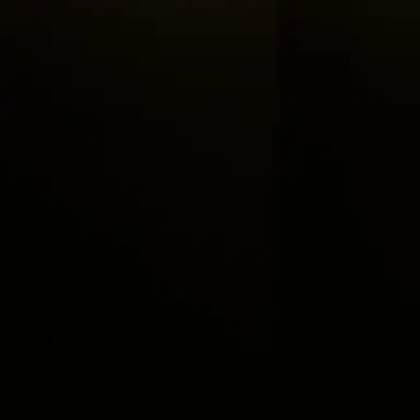 Profile image of 오시온