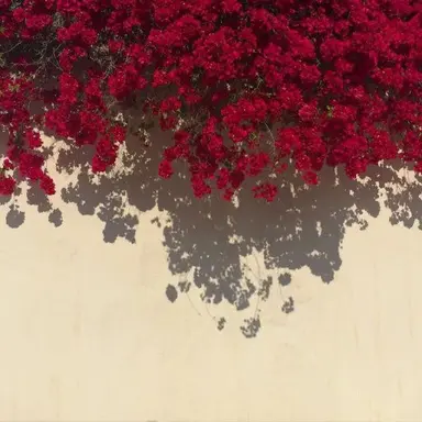 Profile image of 라더