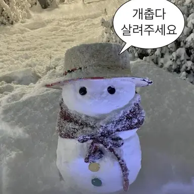 Profile image of 주들