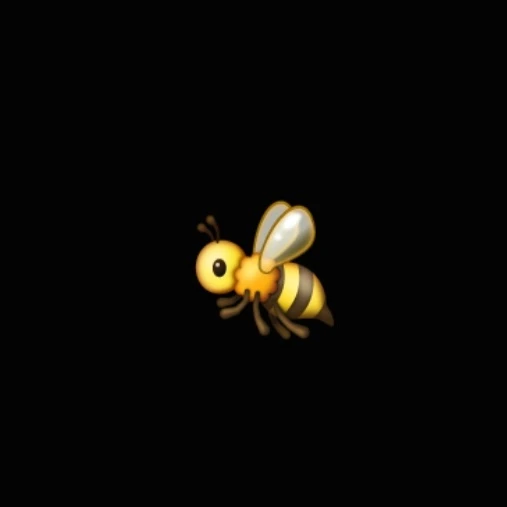 베일리