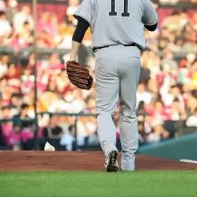 Profile image of 田中将大