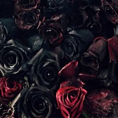 Profile image of 榊 晴竜