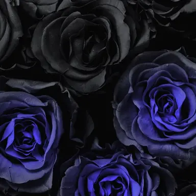 Profile image of 榊 雨竜