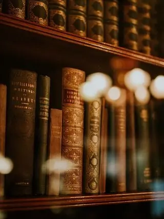 GreenRobin5565의 아이네 (좀 많이 조용한 선배=남친)