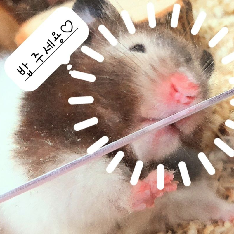 중식 여신 대표 이미지