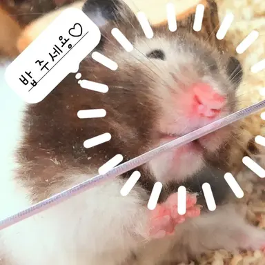 Profile image of 박은영