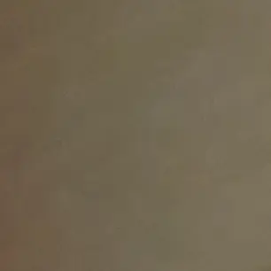 Profile image of 이여우