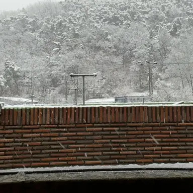 Profile image of 시쿠