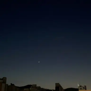 Profile image of 정공룡