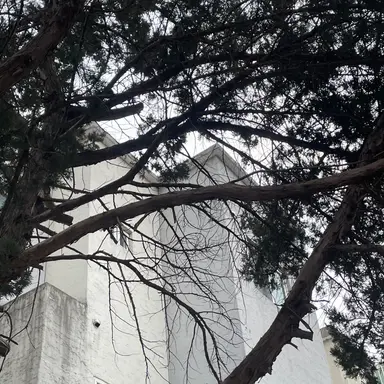 Profile image of 이유지