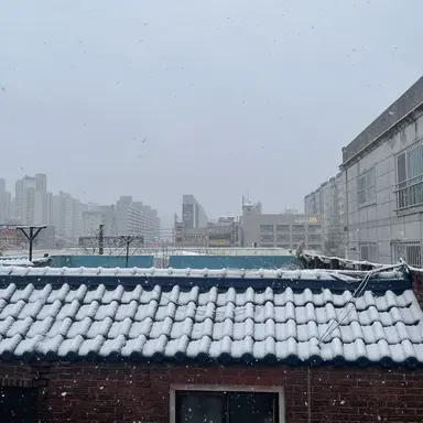 Profile image of 쿨