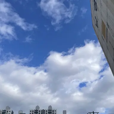 Profile image of 사프