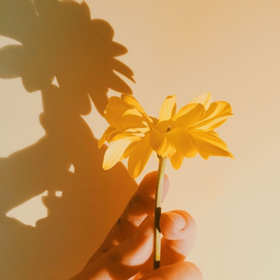 미수반 각별⭐️ 대표 이미지
