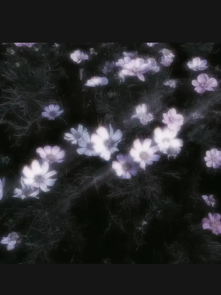 x.er의 고등학교에 여자가 나밖에 없다?!