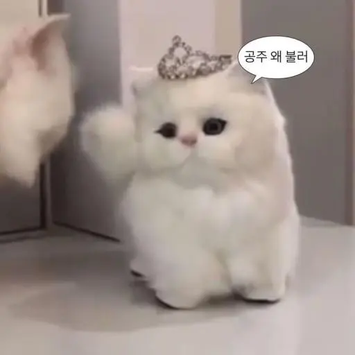 sj3lover의 배지아