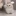 배지아