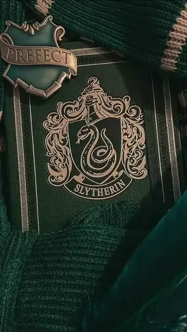 Profile image of Slytherin boys