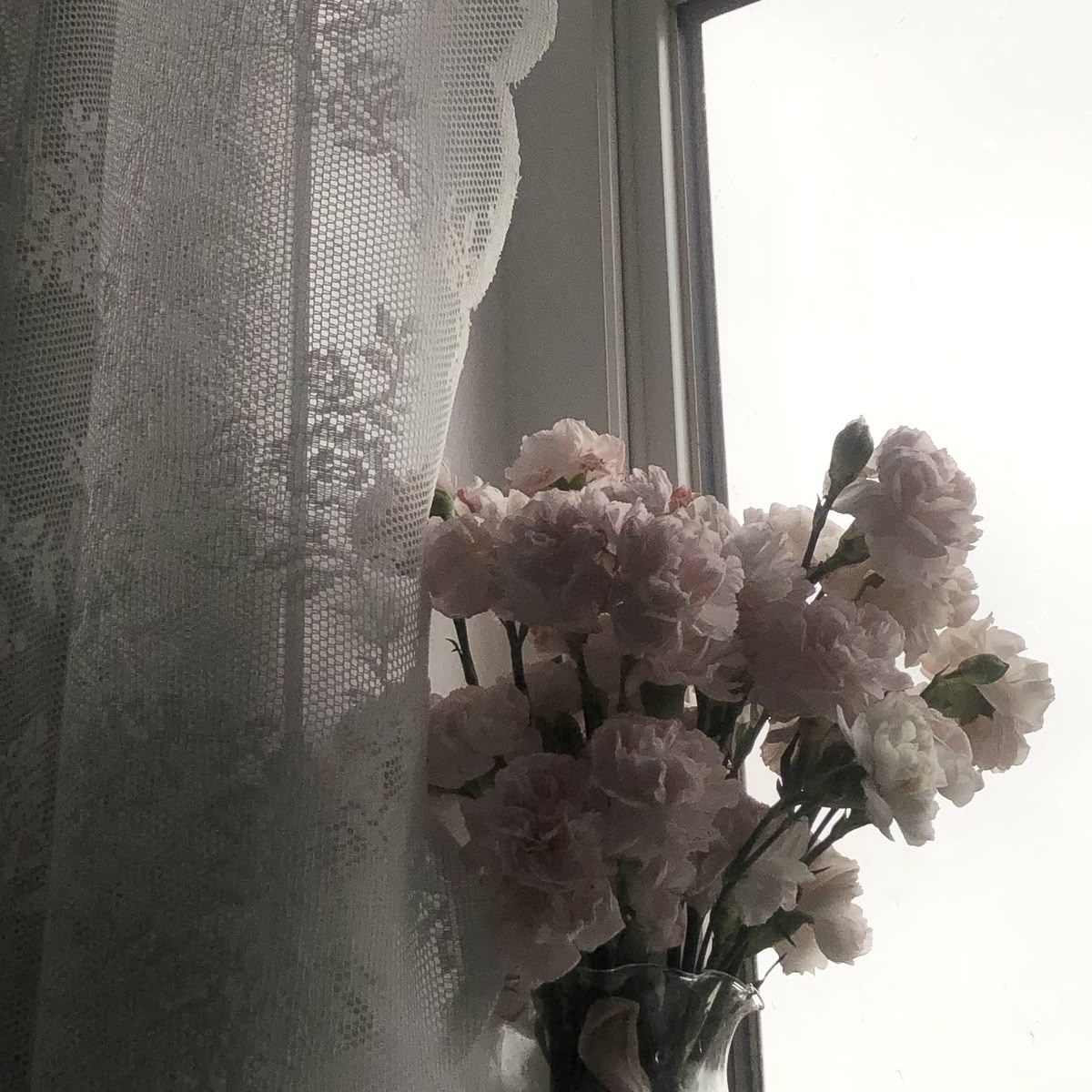 ່ 대표 이미지