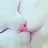 고고프렌즈 슈뻘맨