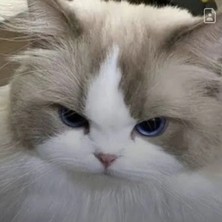 깽냥
