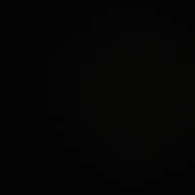 Profile image of 료미