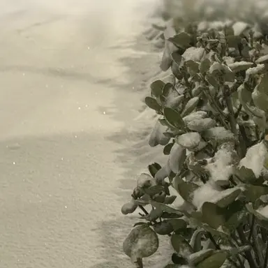 Profile image of ジフン