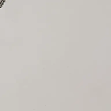 Profile image of 셰프