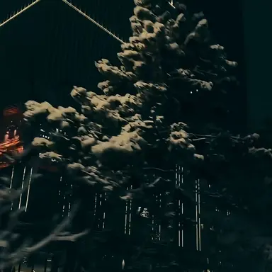 Profile image of 유기사