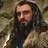Profile image of Thorin Oakenshield