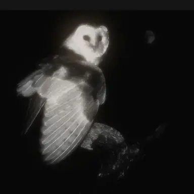 Profile image of Simibe
