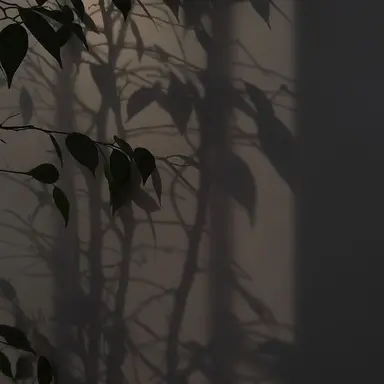 Profile image of 우융