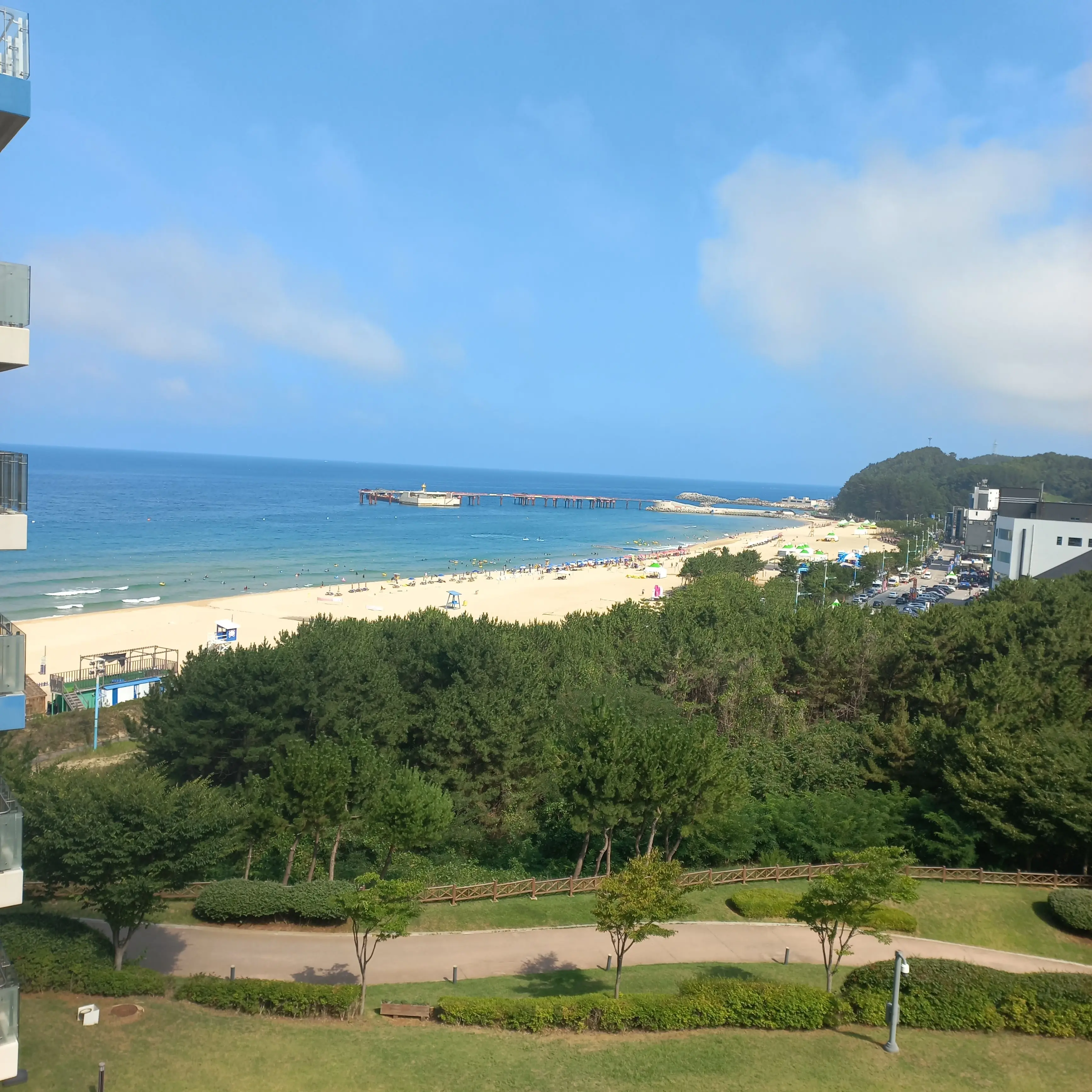 ClearSoap9927의 이세계 아이돌(수인)