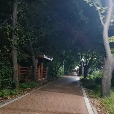 Profile image of 마음대로 하세요