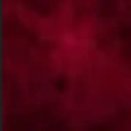 Profile image of ローレン