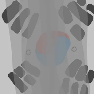 Profile image of 대한민국