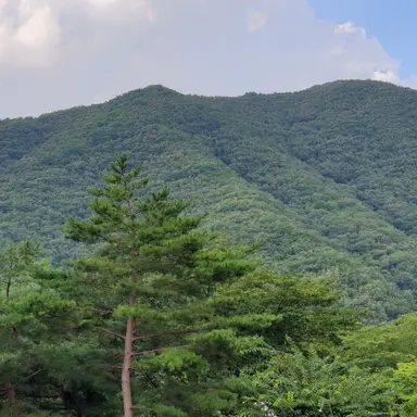 Profile image of 늑대