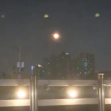 Profile image of 발래 선생님
